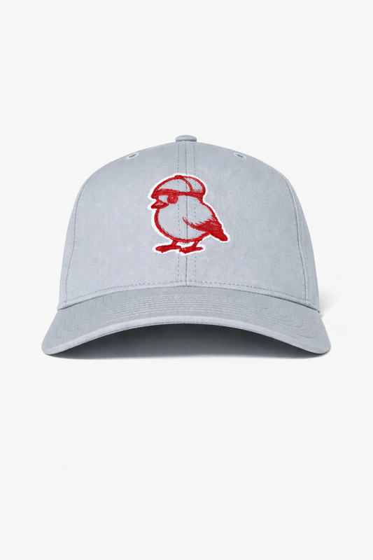 Birdman - Gray